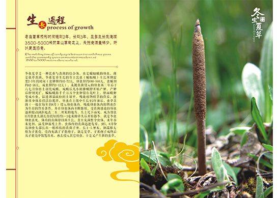 &#121;&#105;&#98;&#111;&#20159;&#21338;&#40;&#20013;&#22269;&#41;&#23448;&#26041;&#32593;&#31449;&#45;&#30331;&#24405;&#20837;&#21475;